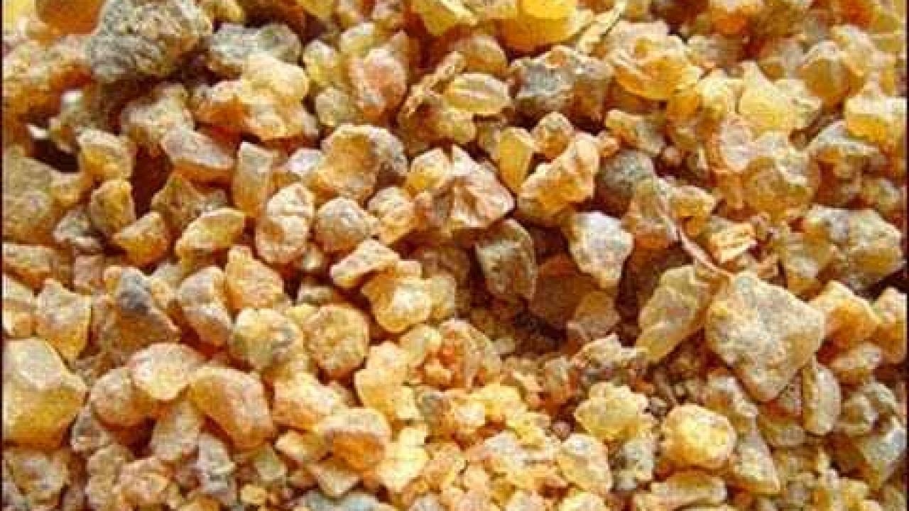 فوائد العنزروت جابر القحطاني