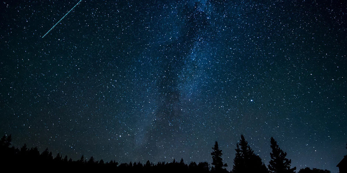 ما نوع التفاعلات التي تحدث بين الغازات المكونة للنجوم