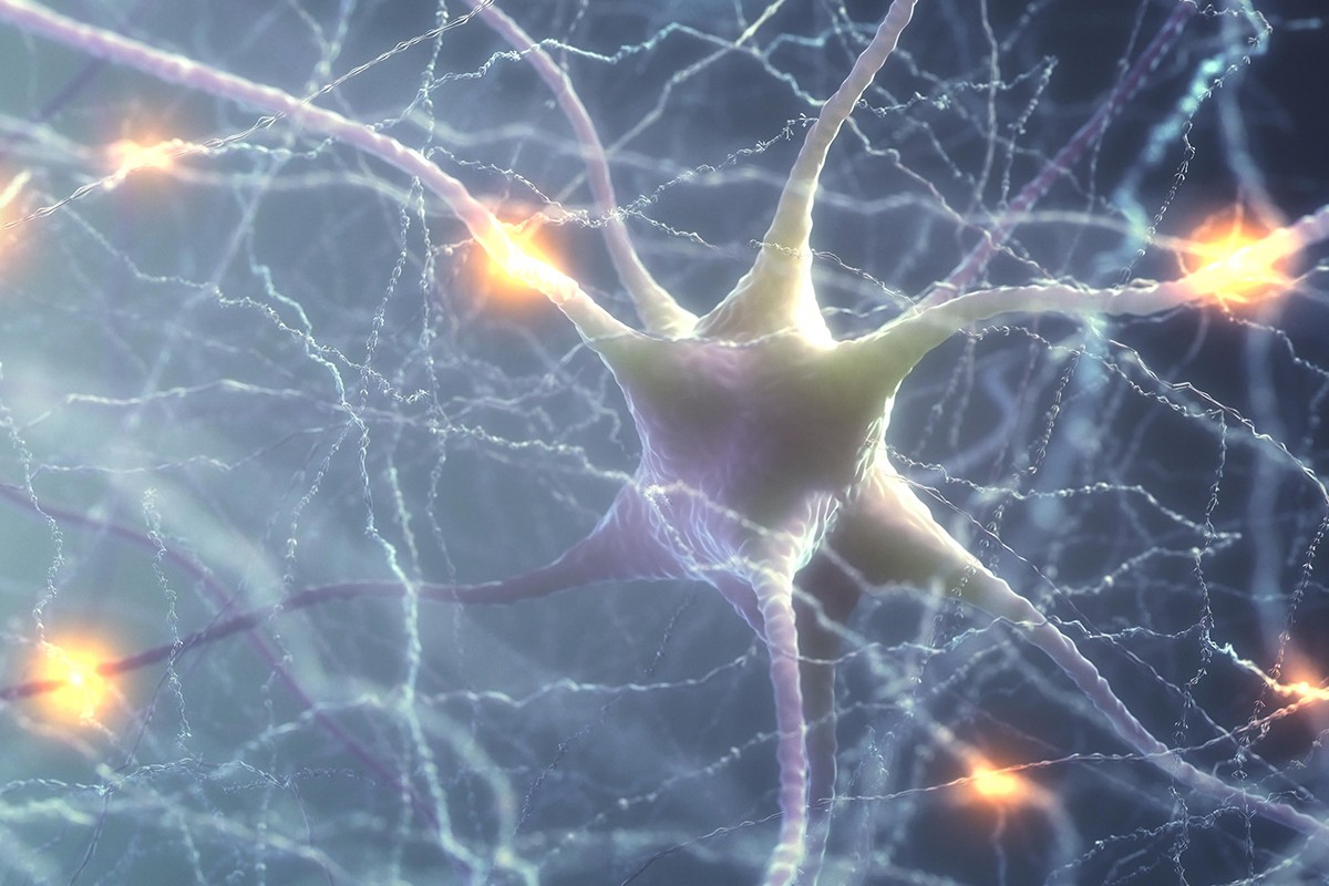 مما تتكون الخلية العصبية