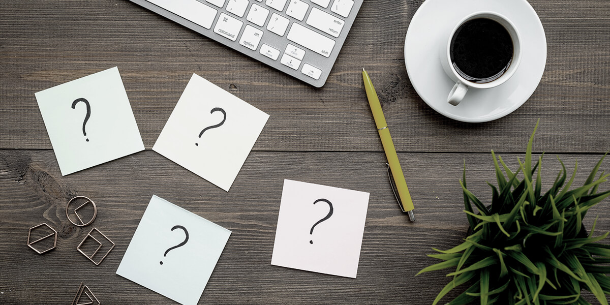 من هي سالي زاك ويكيبيديا