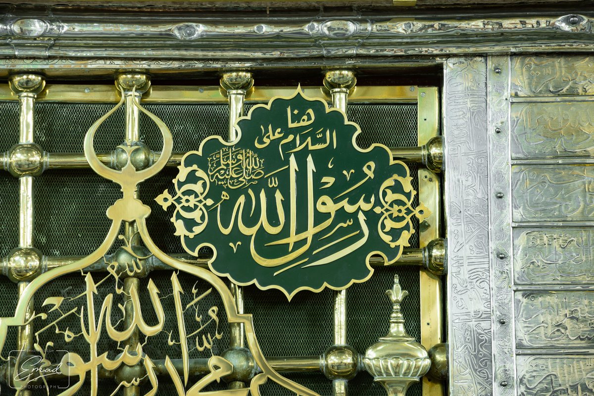 آل بيت الرسول هم .. شجرة ال البيت سيدنا محمد صلى الله عليه وسلم