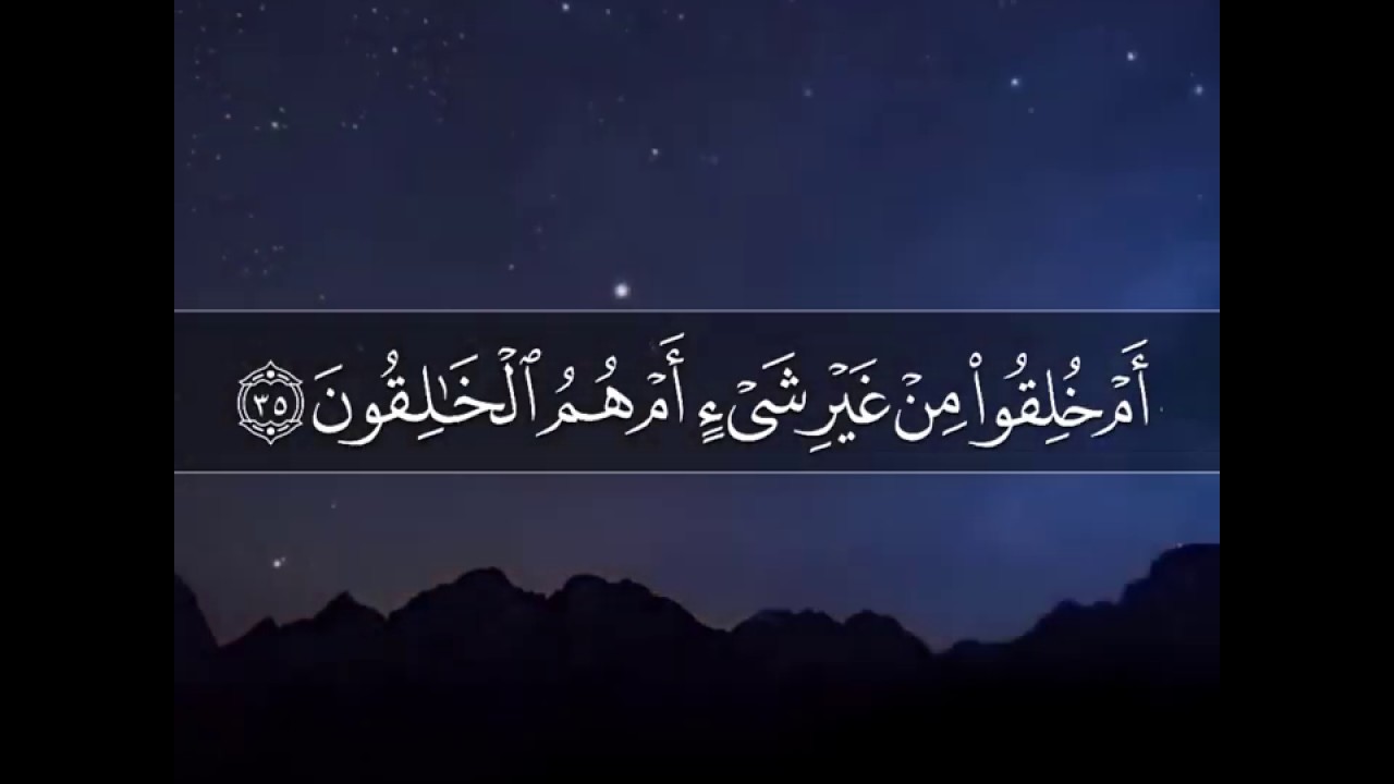أم خلقوا من غير شيء أم هم الخالقون دليل على