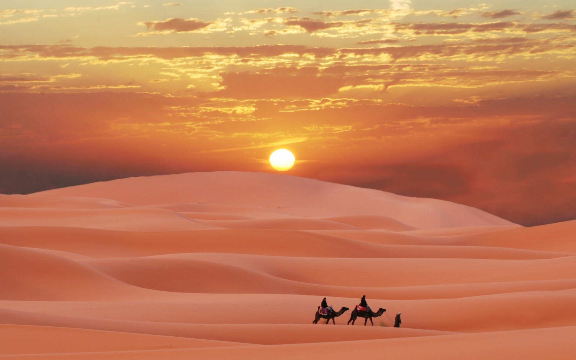 المفرجي من اي قبيلة