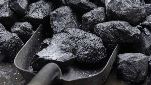 تكون الفحم والوقود الأحفوري يدل على