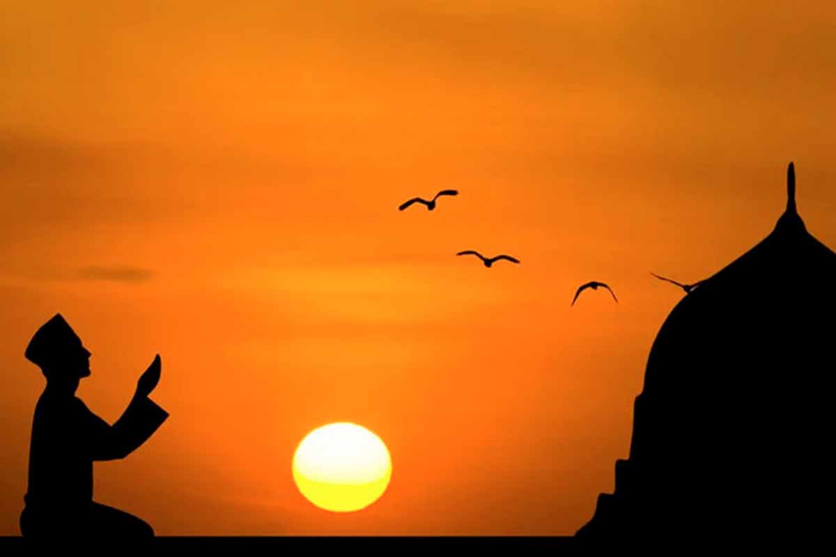 الصحابه جمع صحابي وهو ( تم الإجابة )
