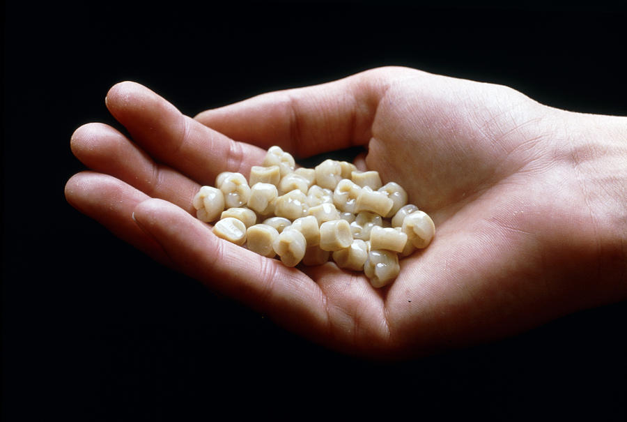 تفسير حلم سقوط سن واحد سفلي في اليد تفسير حلم سقوط سن واحد سفلي في اليد