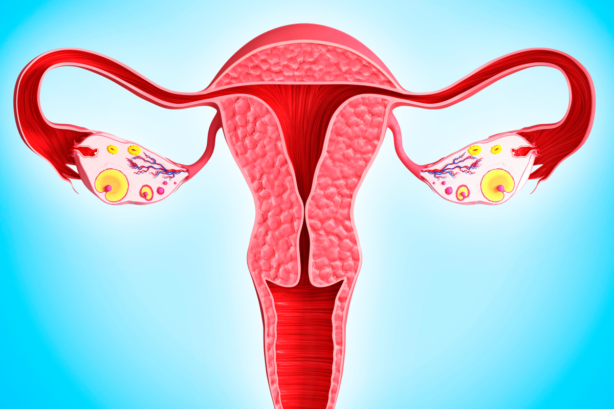 جدار الرحم سميك هل يمنع الحمل