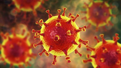 ما الذي يصف معظم انواع الفيروسات احياء اول ثانوي