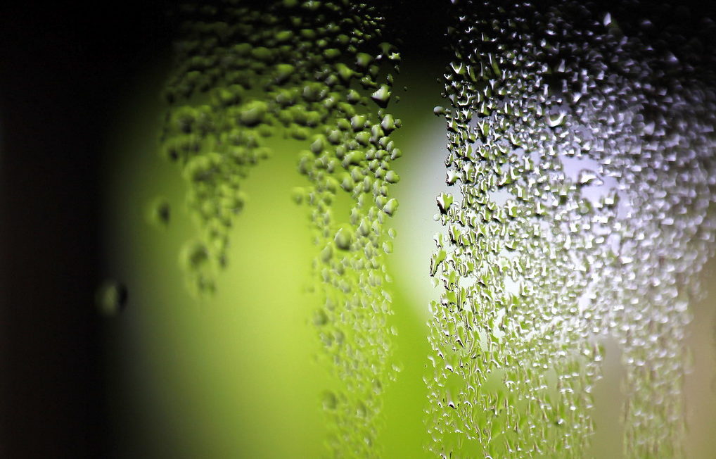 مقدار بخار الماء في الغلاف الجوي يسمى