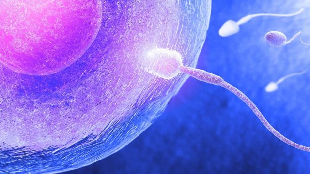 إفرازات تدل على عدم تلقيح البويضة علامات عدم الحمل