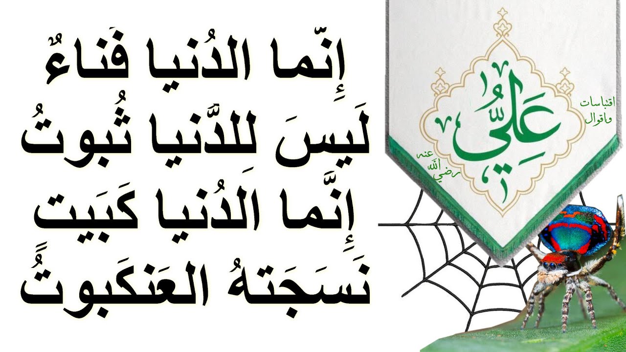 أقوال الإمام علي في الزهد
