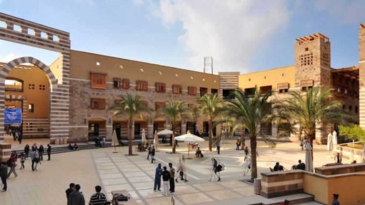 نسب قبول التربية الأساسية 2024