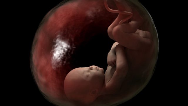 متى يبان كيس الحمل