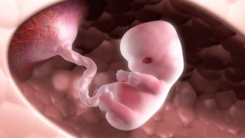 متى يبان نوع الجنين ولد أو بنت .. الطريقة العلمية الصحيحة
