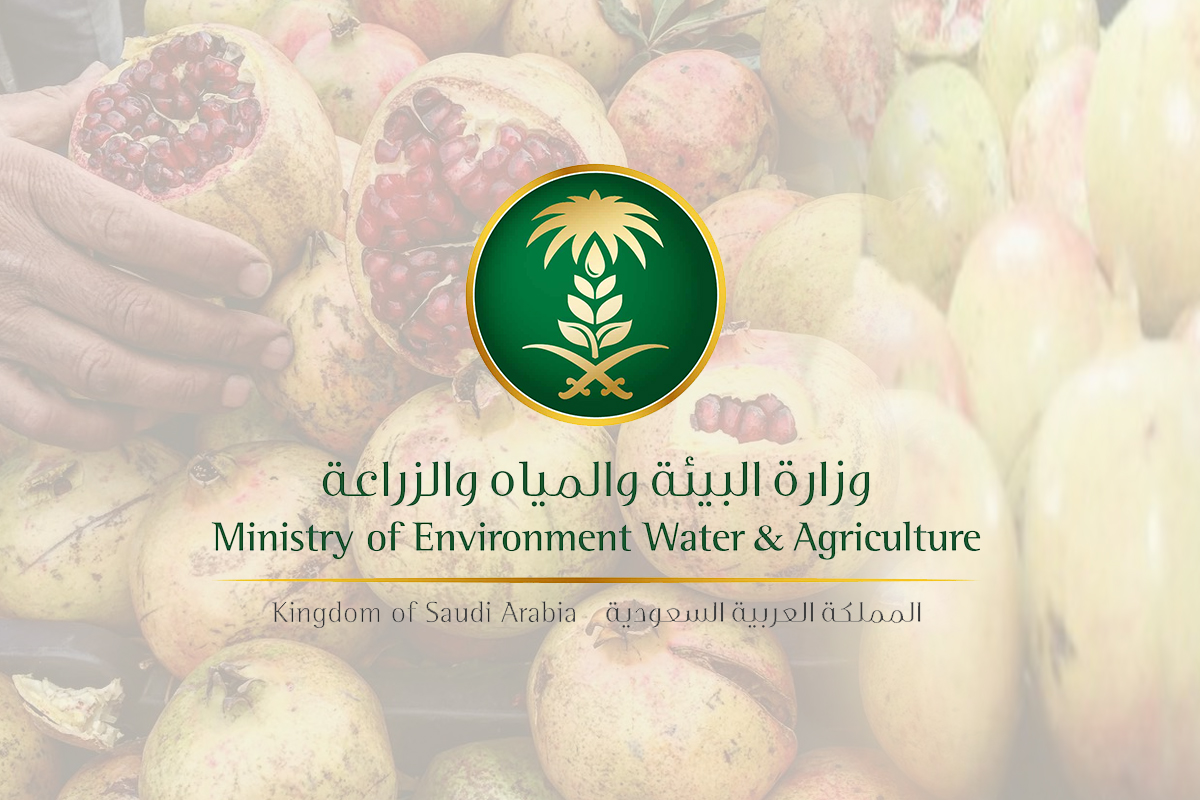 رابط بوابة وزارة الزراعة تسجيل دخول أفراد