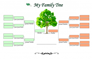 نموذج شجرة عائلة فارغة جاهز