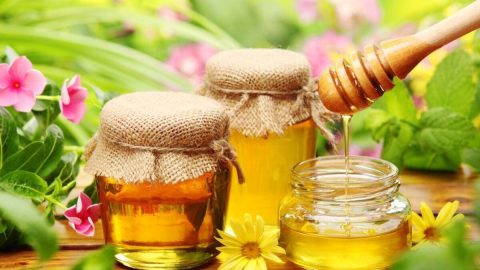 أسماء انواع العسل في السعودية