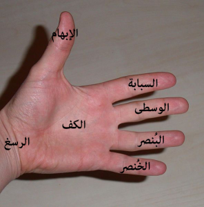 اسماء اصابع اليد ومعانيها اسماء اصابع اليد ومعانيها