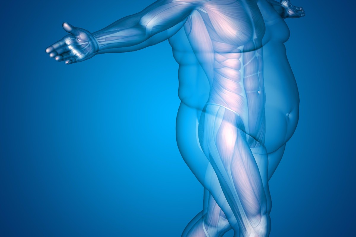 ما هي الغدة المسؤولة عن زيادة الوزن