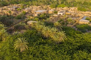 أفضل أماكن سياحية في جزيرة فرسان أفضل أماكن سياحية في جزيرة فرسان
