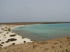 أفضل أماكن سياحية في جزيرة فرسان أفضل أماكن سياحية في جزيرة فرسان