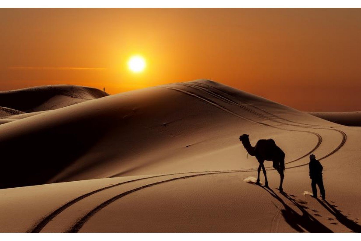 ابن مهيد وش يرجع