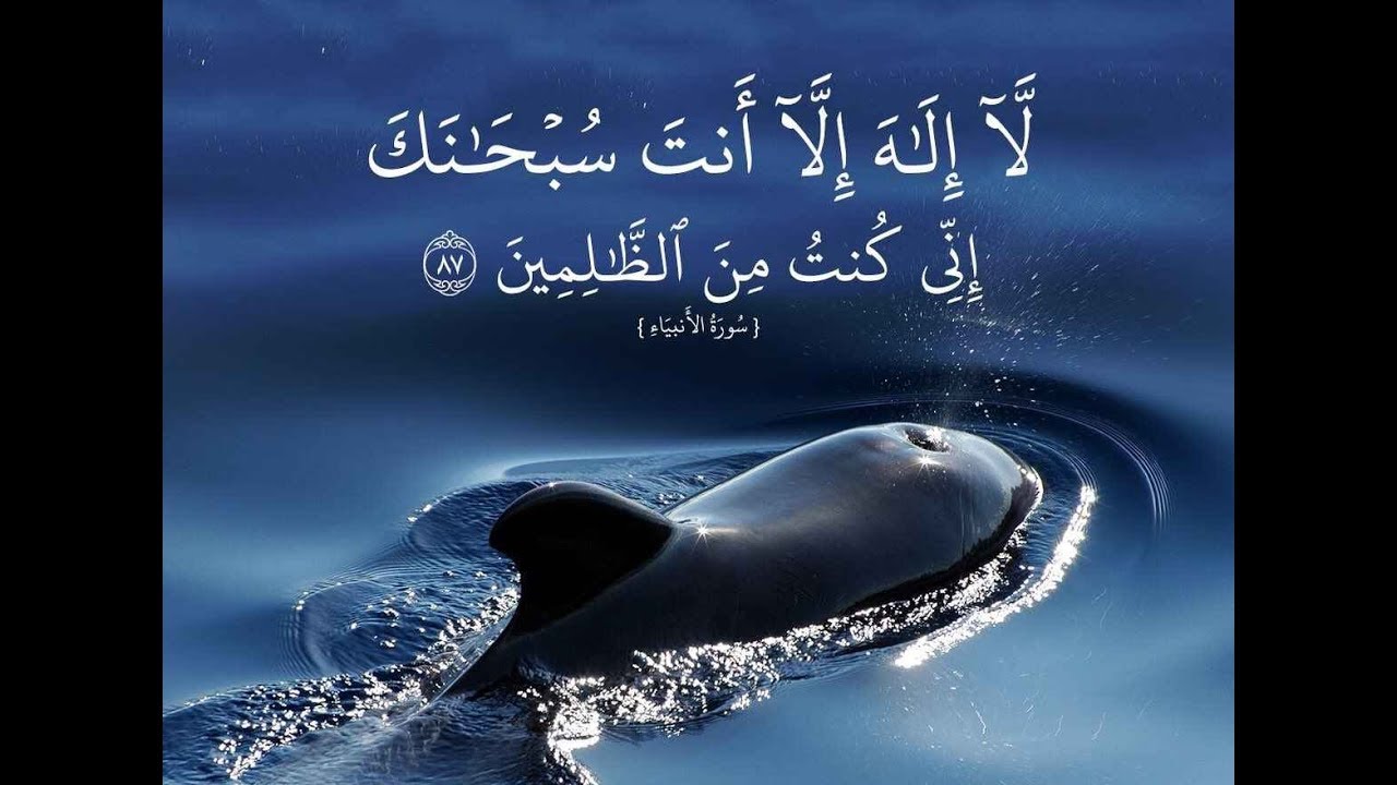 دعاء سيدنا يونس المستجاب لفك الكروب وقضاء الحوائج