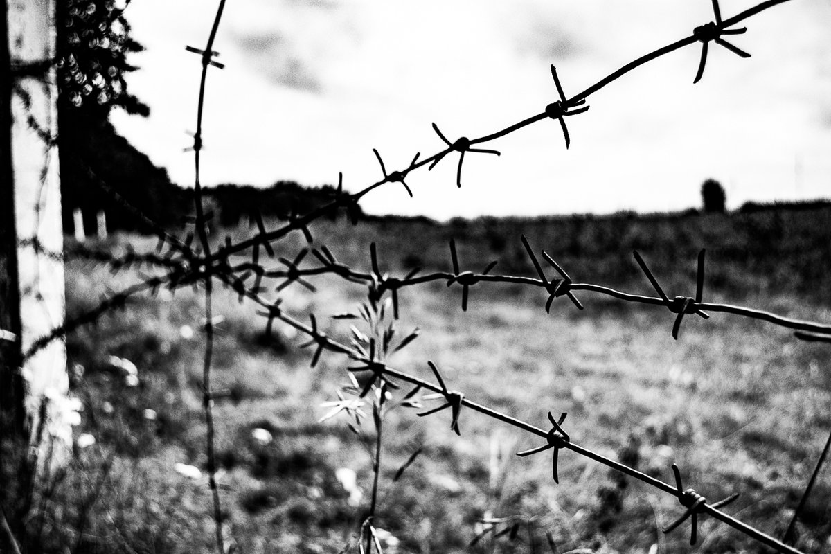 قصة هروب مناضل نفيعات من سجن جلبوع