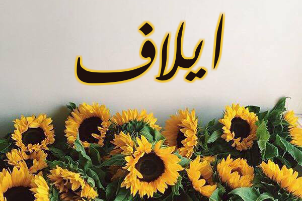 اسم إيلاف بالإنجليزي اسم إيلاف بالإنجليزي