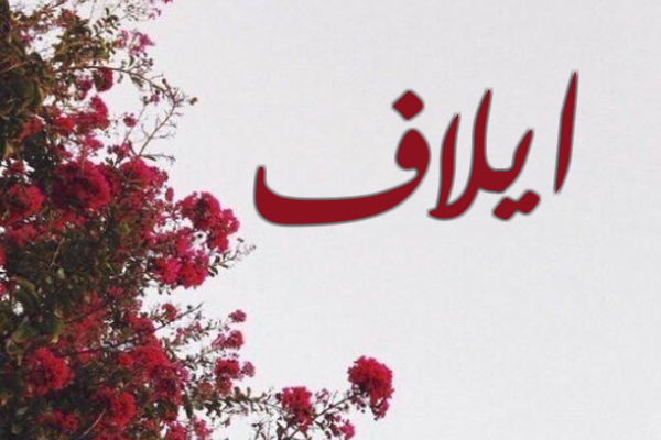 اسم إيلاف بالإنجليزي اسم إيلاف بالإنجليزي
