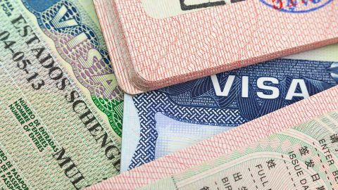 استعلام عن تأشيرة صادرة من ممثلية لمستند