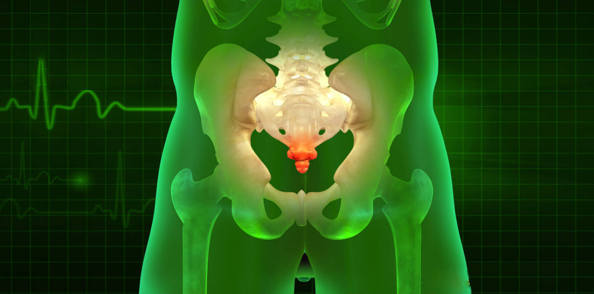 العصعص وين مكانه