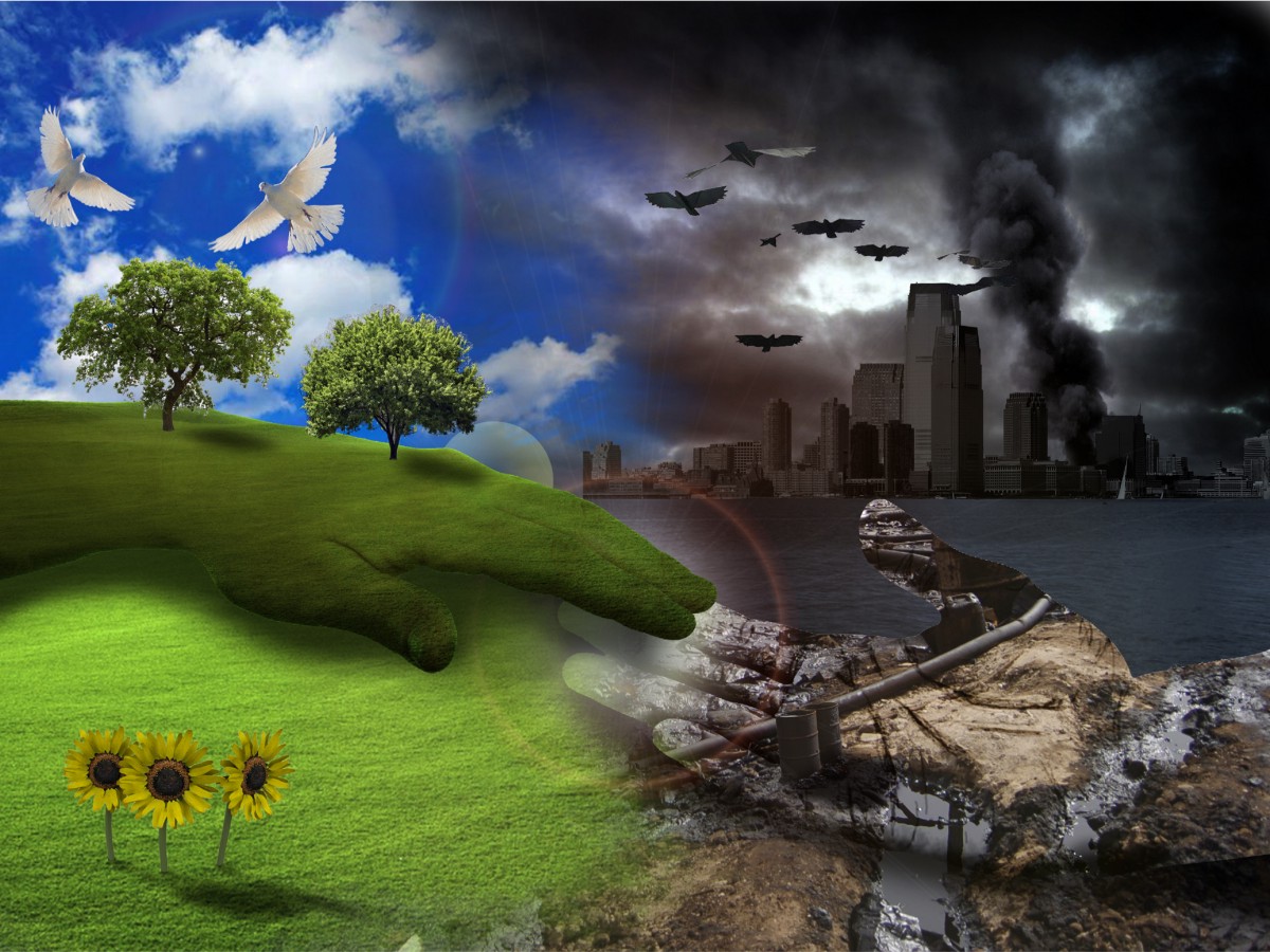 بحث المحافظة على البيئة