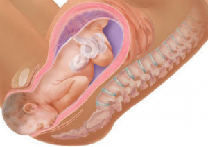 مرحلة خروج الطفل مرحلة خروج الطفل