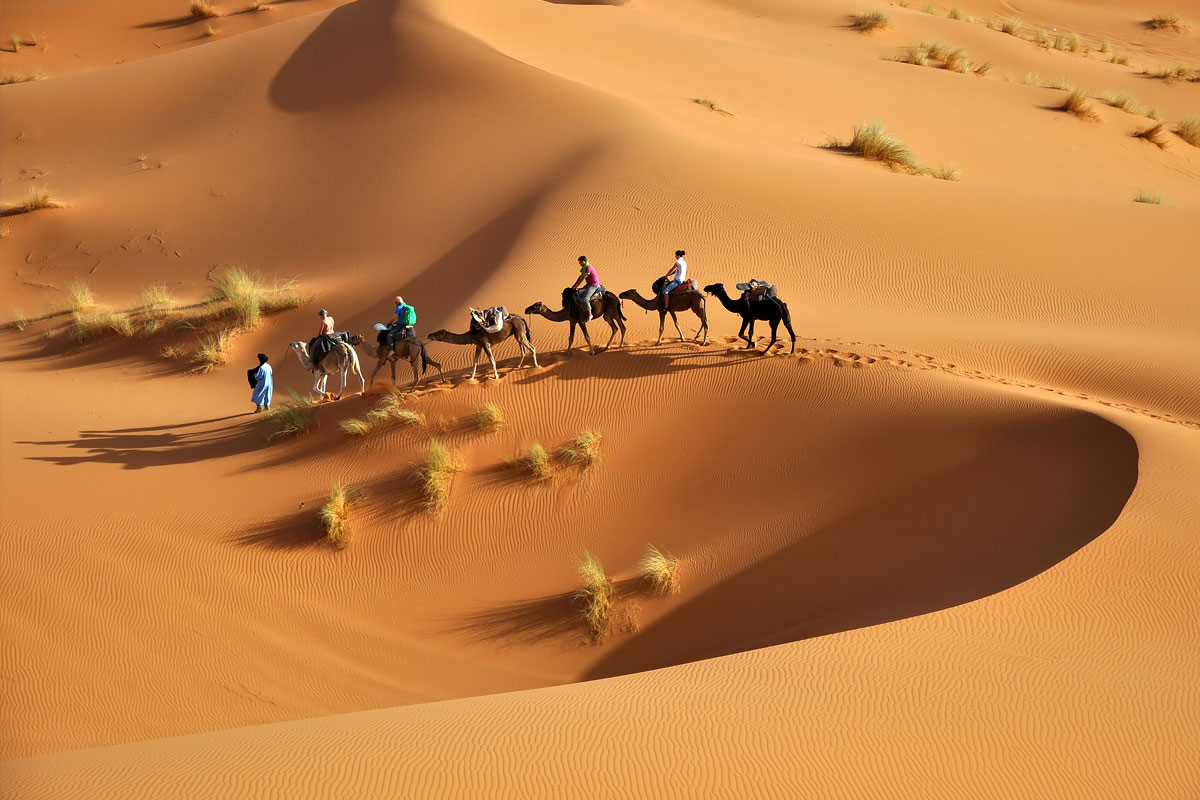 العدواني وش يرجع