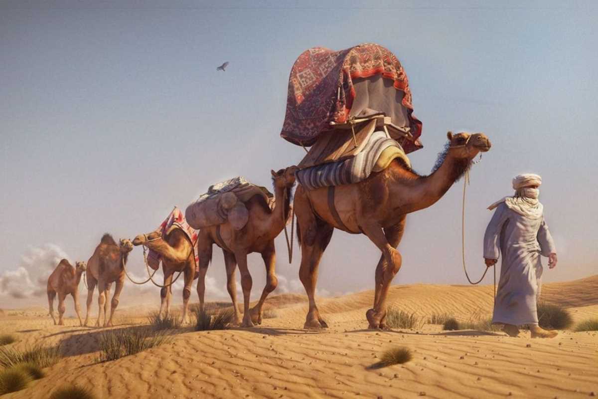 المطرفي وش ترجع