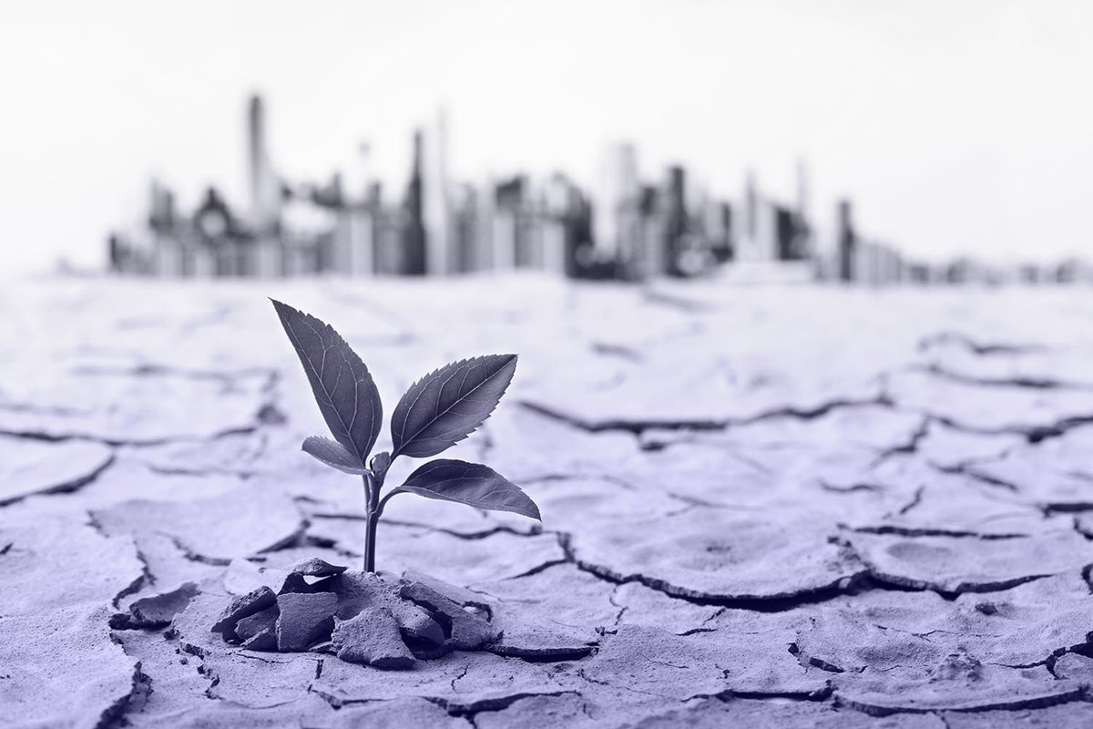 تعريف التكيف