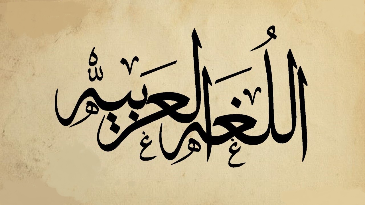 تمارين على جمع المذكر السالم