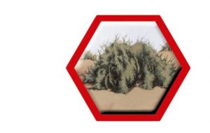 ما هو شعار ولاية المصنعة