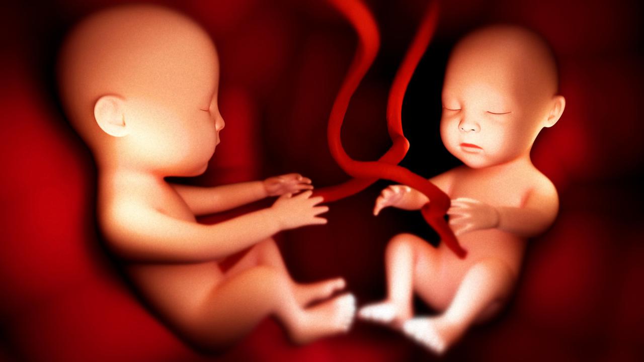 طريقة الحمل بتوأم ذكور بالأعشاب