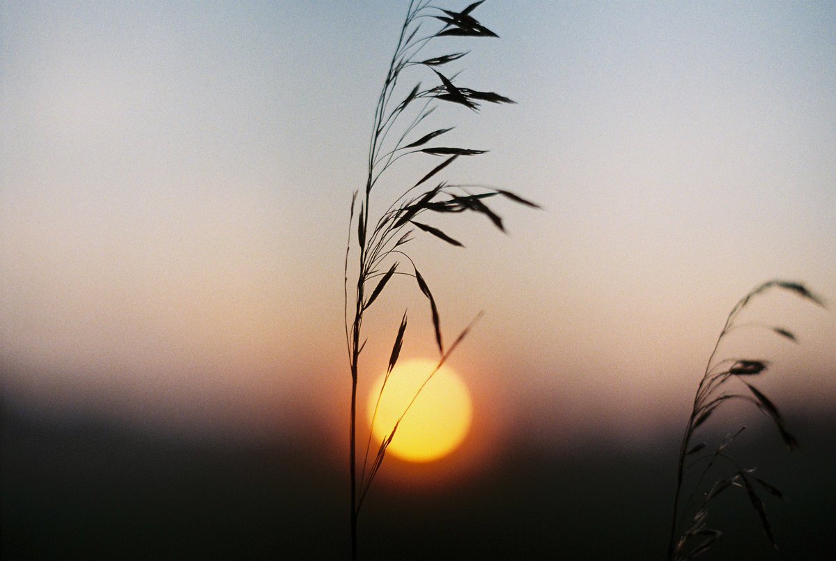 من هو الصحابي الذي غسلته الملائكة