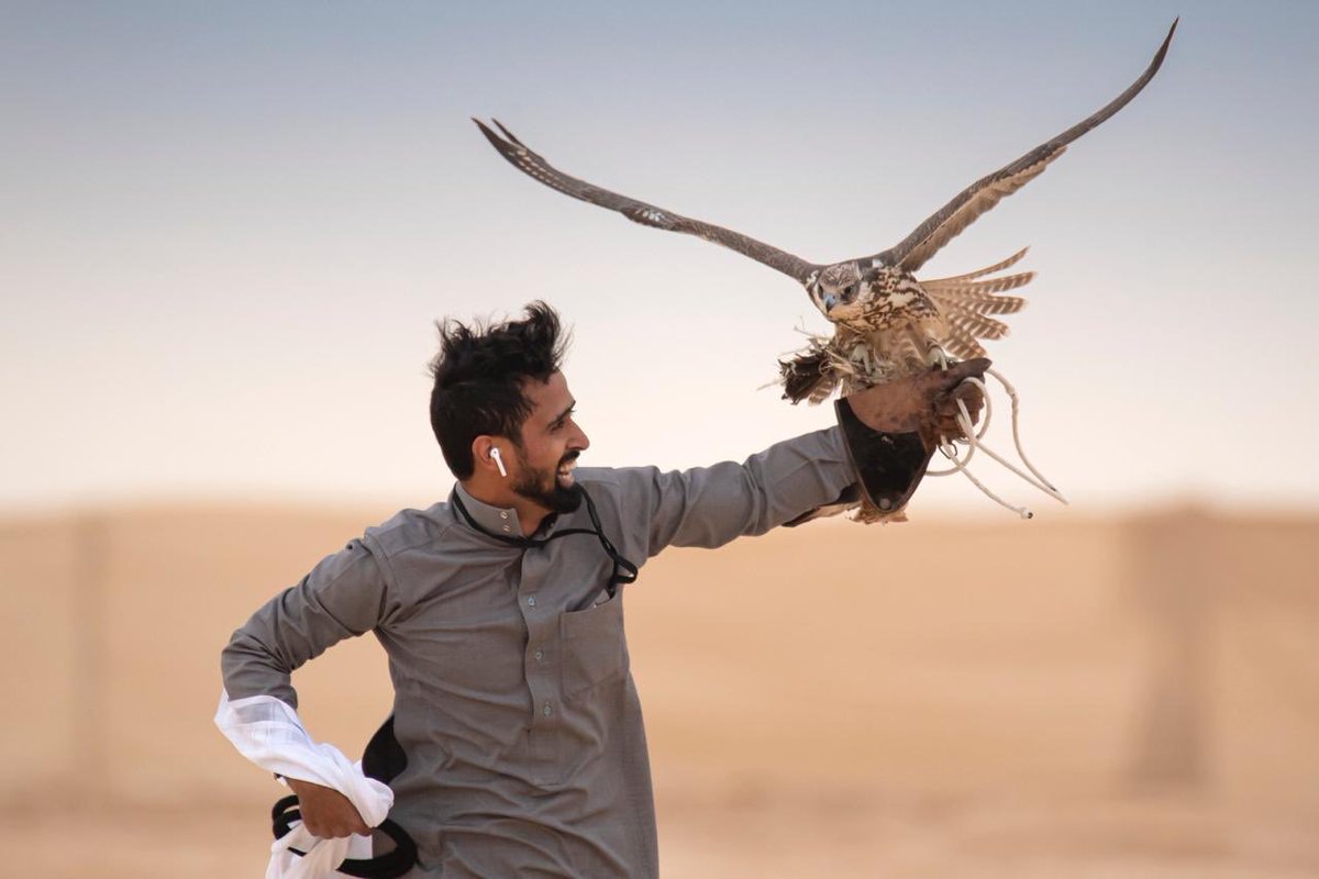 الصقار متعب بن منير القحطاني يحصد جوائز مهرجان الملك عبد العزيز للصقور 2021