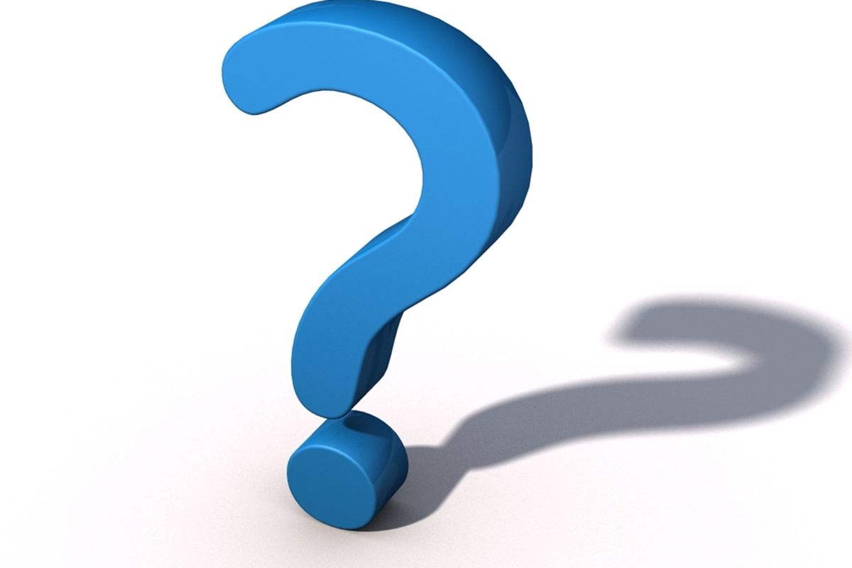 الوقيت وش يرجعون