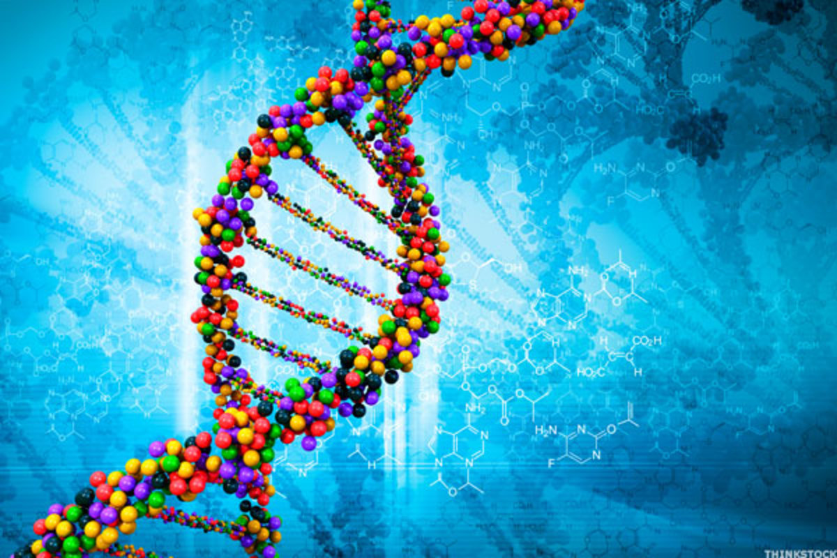 عدد السلاسل في الحمض النووي dna‏