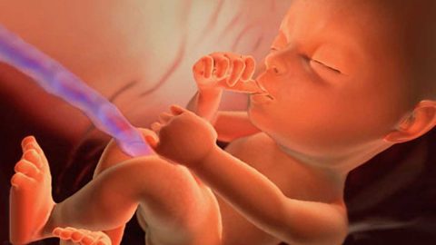 ما الذي يشعر به الجنين في الرحم