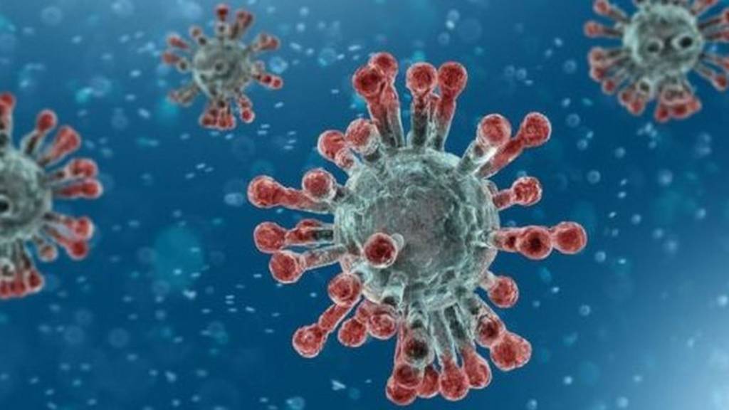 خبر صحفي قصير عن كورونا كامل بالعناصر