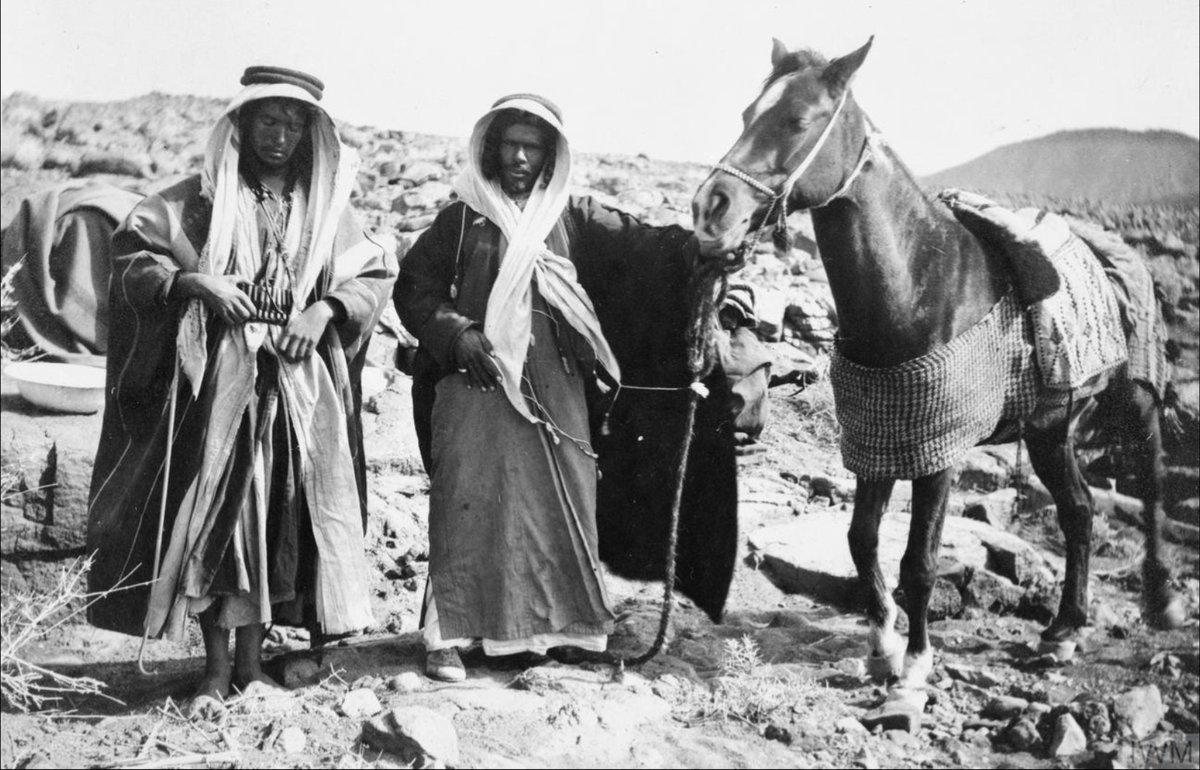 المشرافي وش يرجع