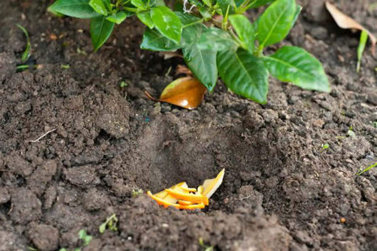 عندما تنخفض سرعة النهر تحدث عملية