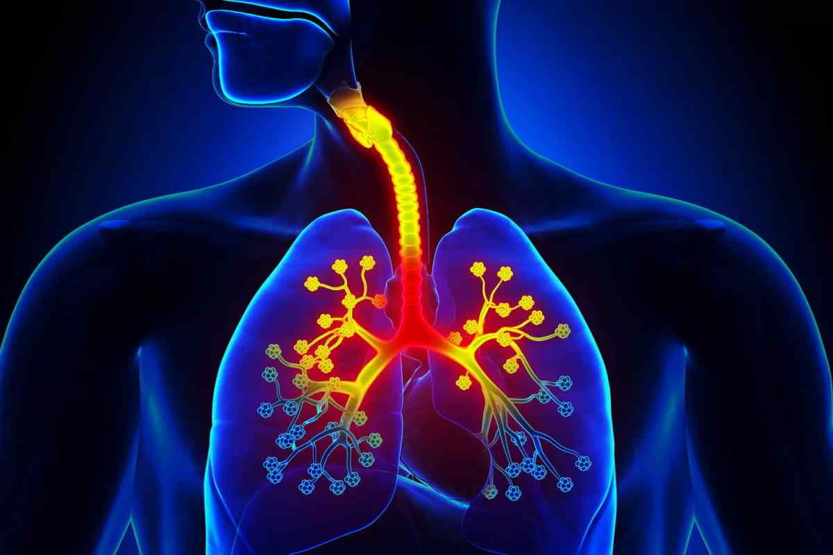 مجموعات أكياس ذات جدران رقيقة تشبه عناقيد العنب