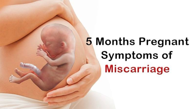 تطورات الجنين في الشهر الخامس